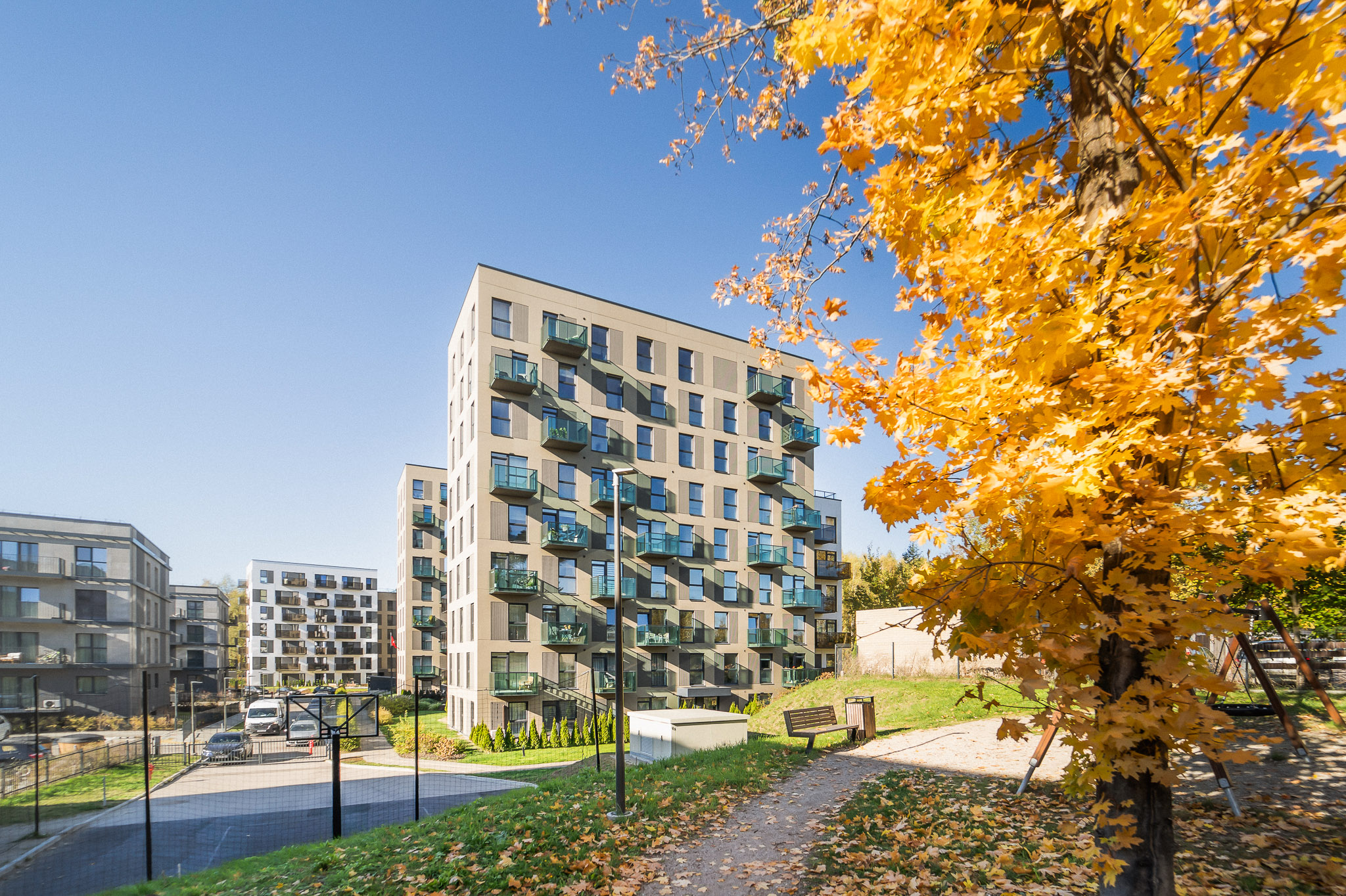 Bajorų lajos I-III etapai